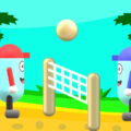 beach-volleyball