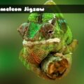 chameleon-jigsaw