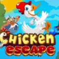 chicken-escape