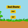 duck-shooting