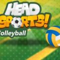 head-sports-volleyball