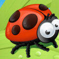 ladybug-slide