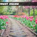 pathway-jigsaw