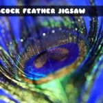 Peacock Feather Jigsaw