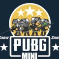 PUBG Mini Snow Multiplayer