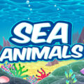 sea-animals-hd