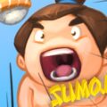 Sumo.io