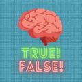 true-or-false-quiz