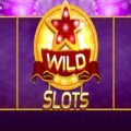 Wild Slot